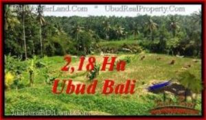 TANAH di UBUD JUAL MURAH 218 Are View Sawah dan sungai ayung, link. villa