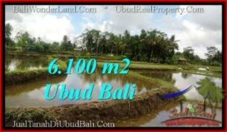 TANAH MURAH di UBUD JUAL 61 Are View Sawah, link. villa