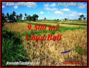 TANAH DIJUAL di UBUD BALI 9,500 m2 di Sentral Ubud