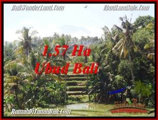 TANAH di UBUD DIJUAL MURAH 157 Are di Sentral Ubud