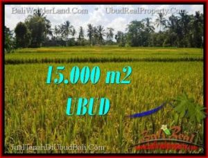 TANAH DIJUAL MURAH di UBUD 15,000 m2 di Ubud Tegalalang