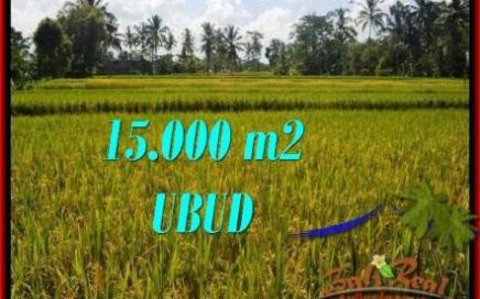 TANAH DIJUAL MURAH di UBUD 15,000 m2 di Ubud Tegalalang