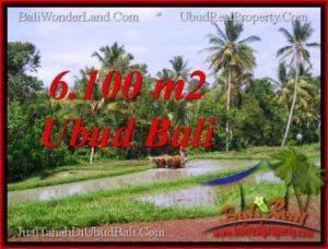 TANAH MURAH di UBUD BALI TJUB552