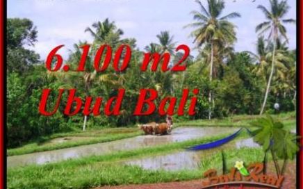 TANAH MURAH di UBUD BALI TJUB552