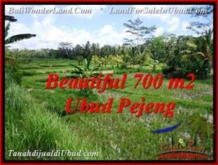 TANAH di UBUD BALI DIJUAL MURAH 700 m2 di Ubud Pejeng