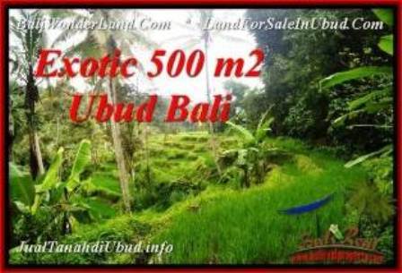 TANAH DIJUAL MURAH di UBUD Untuk INVESTASI TJUB538