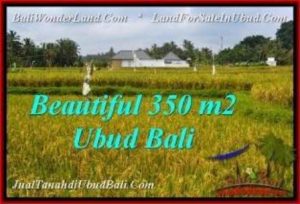 JUAL TANAH MURAH di UBUD Untuk INVESTASI TJUB540