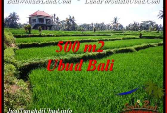 TANAH MURAH DIJUAL di UBUD BALI Untuk INVESTASI TJUB543