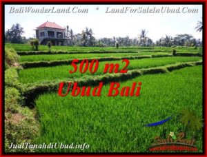 TANAH DIJUAL MURAH di UBUD Untuk INVESTASI TJUB543