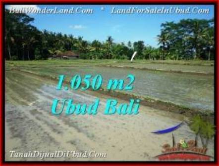 INVESTASI PROPERTI, TANAH DIJUAL MURAH di UBUD TJUB544