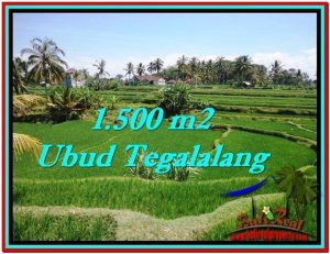 JUAL TANAH di UBUD BALI 15 Are View Sawah link Villa