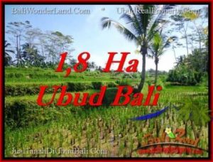 TANAH di UBUD BALI DIJUAL MURAH 16,000 m2 di Ubud Payangan