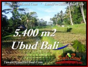 TANAH MURAH DIJUAL di UBUD BALI 54 Are di Ubud Payangan