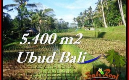 TANAH MURAH DIJUAL di UBUD BALI 54 Are di Ubud Payangan