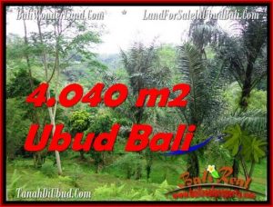 TANAH MURAH JUAL   UBUD 4,040 m2  View Sungai dan Hutan