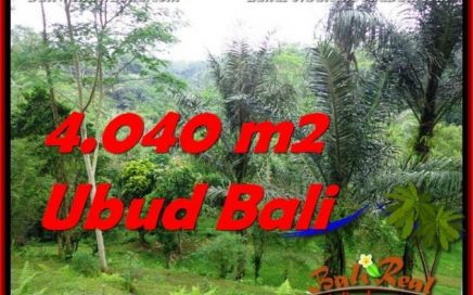 TANAH MURAH JUAL di UBUD BALI 4,040 m2 View Sungai dan Hutan