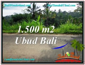 JUAL MURAH TANAH di UBUD BALI 15 Are View Kebun dan Tebing