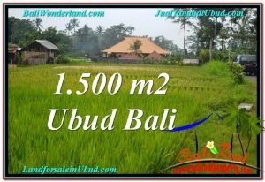 TANAH MURAH di UBUD 1,500 m2 di Ubud Tampak Siring