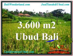 JUAL MURAH TANAH di UBUD 3,600 m2 di Sentral Ubud