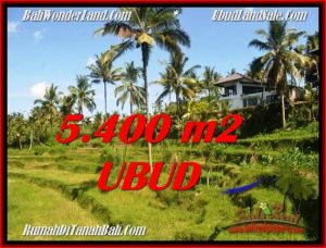 TANAH di UBUD DIJUAL MURAH TJUB550