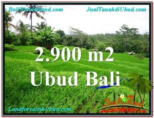 TANAH di UBUD BALI DIJUAL MURAH 29 Are View sawah