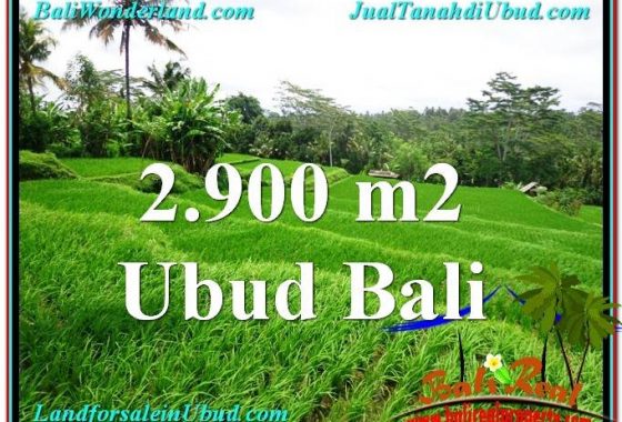 TANAH di UBUD BALI DIJUAL MURAH 29 Are View sawah