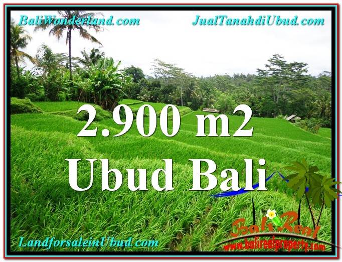 TANAH di UBUD BALI DIJUAL MURAH 29 Are View sawah