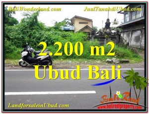 INVESTASI PROPERTY, TANAH di UBUD DIJUAL MURAH TJUB565