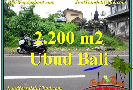 INVESTASI PROPERTY, TANAH di UBUD DIJUAL MURAH TJUB565