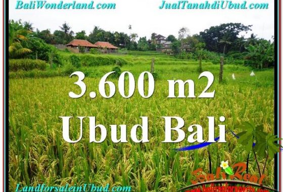 TANAH di UBUD DIJUAL TJUB566