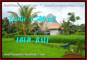 TANAH DIJUAL di UBUD BALI 1,500 m2 di Ubud Pejeng