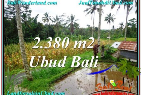 JUAL MURAH TANAH di UBUD BALI 2,380 m2 View kebun dan sawah