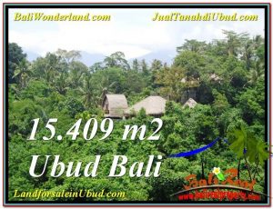 TANAH MURAH di UBUD BALI 154.9 Are View Tebing dan Sungai