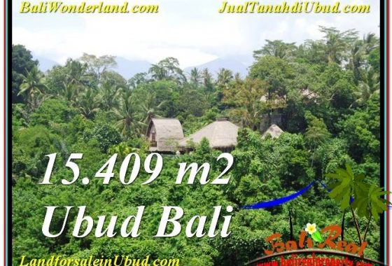 JUAL TANAH MURAH di UBUD BALI 154.9 Are di Sentral Ubud