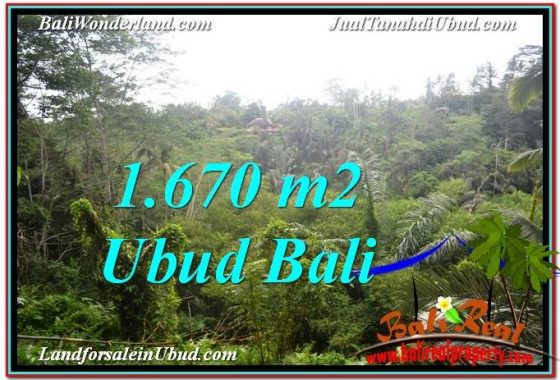 JUAL MURAH TANAH di UBUD BALI 1,670 m2 View Tebing