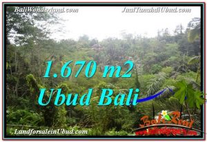 TANAH di UBUD JUAL MURAH 16.7 Are View Tebing 