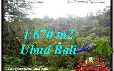 TANAH di UBUD JUAL MURAH 16.7 Are View Tebing