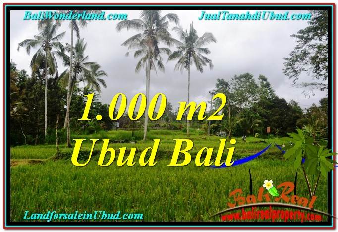 TANAH JUAL MURAH UBUD 10 Are View Sawah