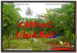 TANAH DIJUAL MURAH di UBUD TJUB571