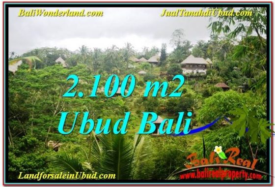 INVESTASI PROPERTY, JUAL TANAH MURAH di UBUD BALI TJUB572