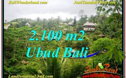 TANAH MURAH di UBUD BALI 2,100 m2 View Tebing dan Sungai