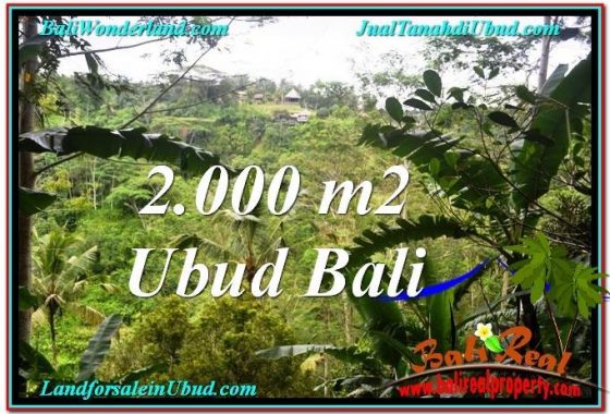 TANAH MURAH JUAL UBUD 20 Are View Tebing dan Sungai