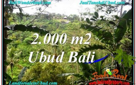 TANAH di UBUD BALI DIJUAL MURAH 2,000 m2 di Ubud Payangan