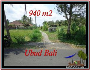 TANAH MURAH DIJUAL di UBUD BALI Untuk INVESTASI TJUB531