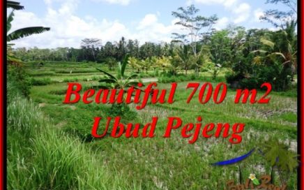 JUAL TANAH di UBUD BALI 7 Are View Sawah link villa