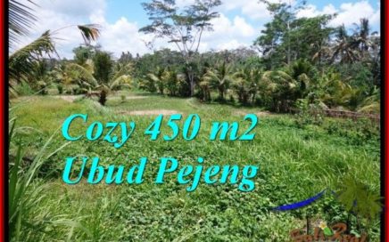 DIJUAL TANAH di UBUD TJUB535