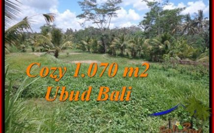 TANAH MURAH DIJUAL di UBUD BALI Untuk INVESTASI TJUB536