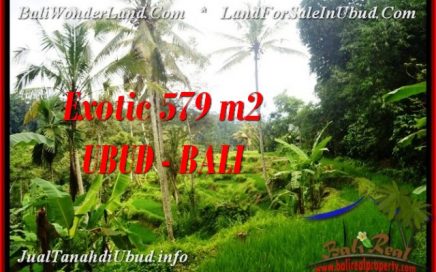 JUAL MURAH TANAH di UBUD BALI 579 m2 View Sawah dan sungai