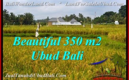 INVESTASI PROPERTI, DIJUAL MURAH TANAH di UBUD BALI TJUB540