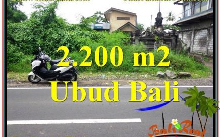 TANAH MURAH di UBUD BALI DIJUAL 22 Are Pinggir Jalan Raya